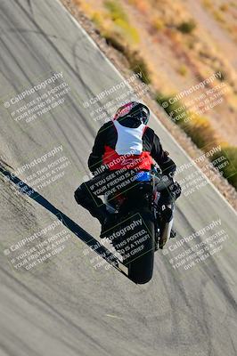 media/Oct-24-2025-2WTD (Fri) [[491f36c2bf]]/C Group/Session 3 (Turn 5)/